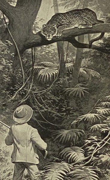 Outing: An Illustrated Monthly Magazine of Sport, Travel and Recreation, Vol. XXIII., XXIV [Volumes 23-24], October, 1893 - September, 1894.