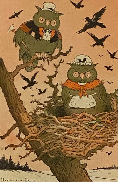 Blacky the Crow (Green Forest Series) (Burgess Quaddies)