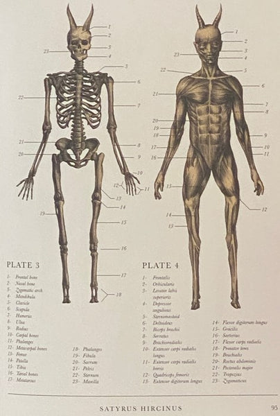 The Resurrectionist: The Lost Work of Dr. Spencer Black