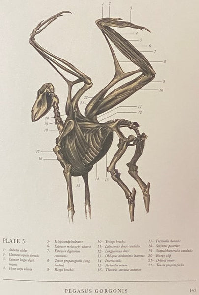 The Resurrectionist: The Lost Work of Dr. Spencer Black