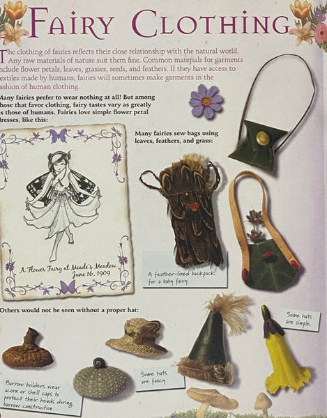The Secret World of Fairies