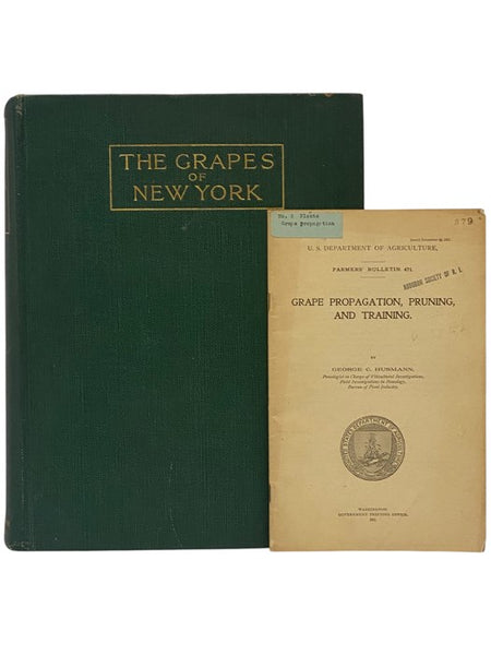 The Grapes of New York (Report of the New York Agricultural Experiment Station for the Year 1907, Volume II) (State of New York - Department of Agriculture Fifteen Annual Report, Vol. 3, Part II)
