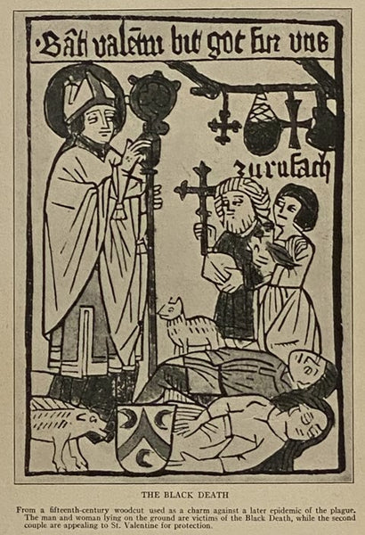 Riders of the Plagues: The Story of the Conquest of Disease