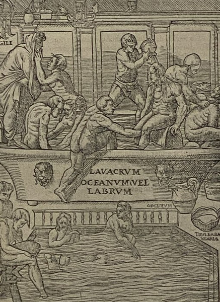 Riders of the Plagues: The Story of the Conquest of Disease