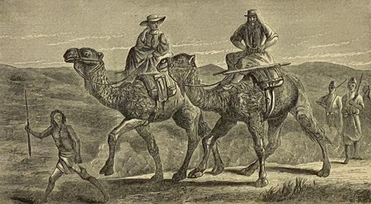 Stanley in Africa: The Story of His Wonderful Marches across the Continent, Voyages on the Great Equatorial Lakes, Perilous Descent of the Congo, and Desperate Encounters with Cataracts and Cannibals, Told Chiefly in His Own Words. together with A Narrat…