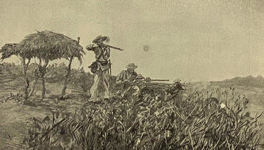 Free Cuba: Her Oppression, Struggle for Liberty, History, and Present Condition, with the Causes and Justification of the Present War for Independence. The History of the War, and Special Chapters.
