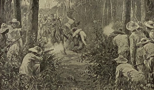 Free Cuba: Her Oppression, Struggle for Liberty, History, and Present Condition, with the Causes and Justification of the Present War for Independence. The History of the War, and Special Chapters.