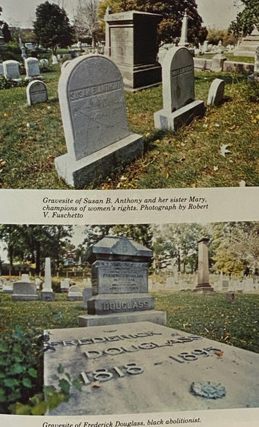 Rochester: A Panoramic History