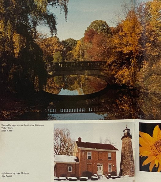 Rochester: The Big Picture