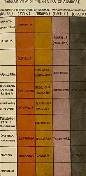 Field Book of Common Mushrooms, with a Key to Identification of the Gilled Mushrooms and Directions for Cooking Those That Are Edible (Putnam's Nature Field Books)