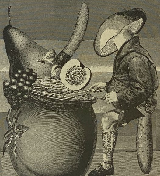 Morbid Curiosities