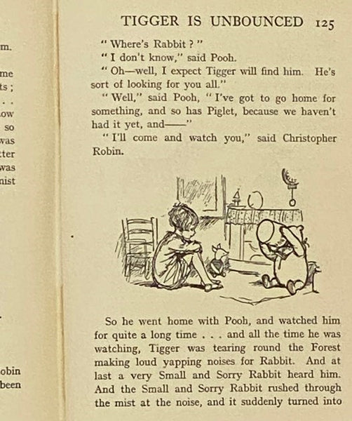 The House at Pooh Corner