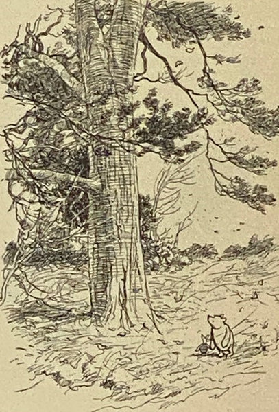 The House at Pooh Corner
