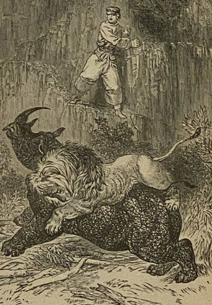 The Young Yagers; or, A Narrative of Hunting Adventures in Southern Africa