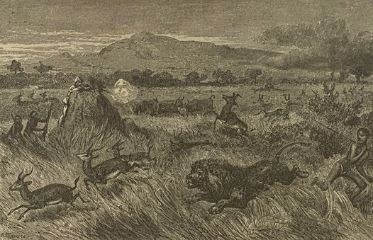 Illustrated Natural History: Comprising Descriptions of Animals, Birds, Fishes, Reptiles, Insects, Etc., with Sketches of Their Peculiar Habits and Characteristics. (New Edition.)