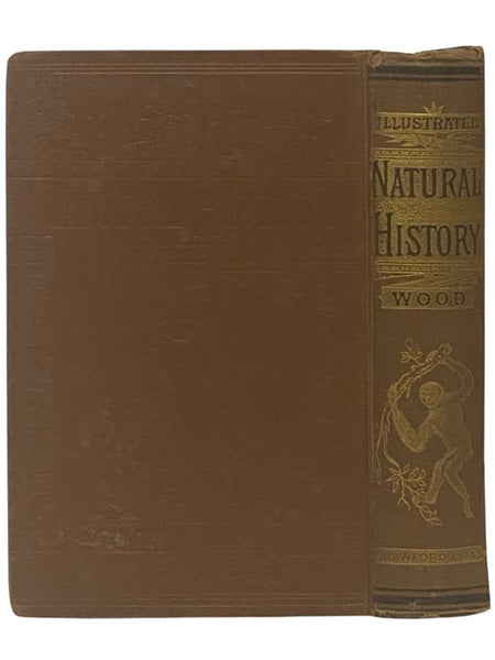 Illustrated Natural History: Comprising Descriptions of Animals, Birds, Fishes, Reptiles, Insects, Etc., with Sketches of Their Peculiar Habits and Characteristics. (New Edition.)