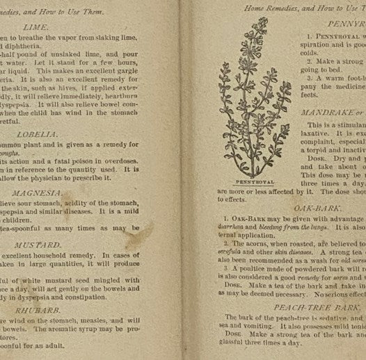 The Household Guide; or, Home Remedies and Home Treatment for All Diseases in Man or Beast. A Manual of Domestic Information for All Classes, and a Complete Encyclopedia of Family Receipts and Celebrated Prescriptions.