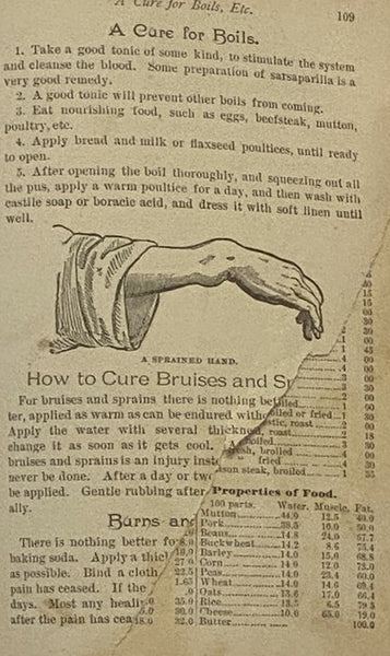 The Household Guide; or, Home Remedies and Home Treatment for All Diseases in Man or Beast. A Manual of Domestic Information for All Classes, and a Complete Encyclopedia of Family Receipts and Celebrated Prescriptions.