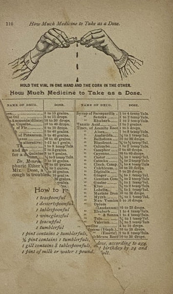 The Household Guide; or, Home Remedies and Home Treatment for All Diseases in Man or Beast. A Manual of Domestic Information for All Classes, and a Complete Encyclopedia of Family Receipts and Celebrated Prescriptions.