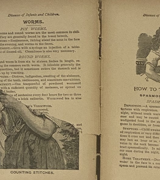 The Household Guide; or, Domestic Cyclopedia. Home Remedies for Man and Beast. A Complete Receipt Book. Home Nursing and Home Treatment; Insect Extermination; Prof. Henkel's Illustrations of the Effects of Alcohol & Cigarettes; Care of Children; How to C…