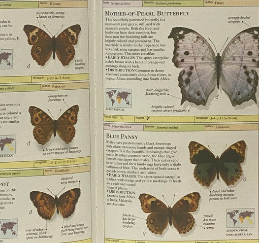 Butterflies and Moths: The Visual Guide to over 500 Species of Butterflies and Moths from Around the World (Eyewitness Handbooks