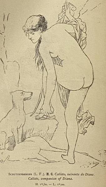 1883 Catalogue Illustre du Salon: Contenant Environ 300 Reproductions d'Apres les Dessins Originaux des Artistes (Cinquieme Annee)