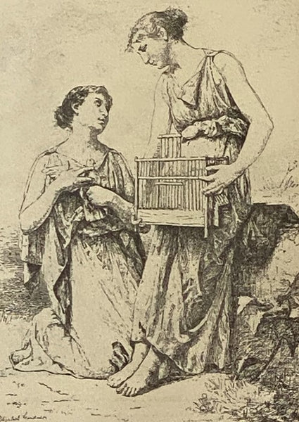 1883 Catalogue Illustre du Salon: Contenant Environ 300 Reproductions d'Apres les Dessins Originaux des Artistes (Cinquieme Annee)