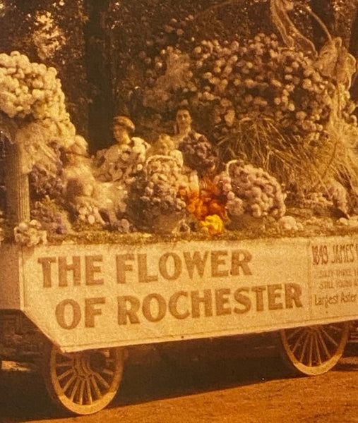 Rochester: A Pictorial History