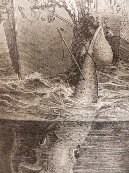 The Water World; A Popular Treatise on the Broad, Broad Ocean. Its Laws; Its Phenomena; Its Products and Inhabitants; Graphically Describing its Currents, Tides, Waves; Its Whirlpools, Water-Spouts, Typhoons and Trade Wings; Its Coral Reefs, Pearls, Shel…