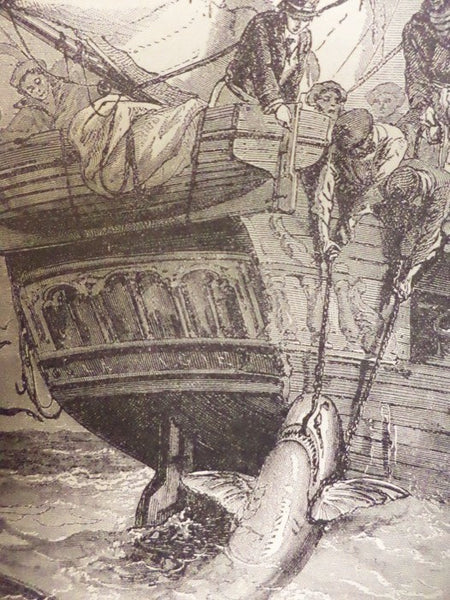The Water World; A Popular Treatise on the Broad, Broad Ocean. Its Laws; Its Phenomena; Its Products and Inhabitants; Graphically Describing its Currents, Tides, Waves; Its Whirlpools, Water-Spouts, Typhoons and Trade Wings; Its Coral Reefs, Pearls, Shel…