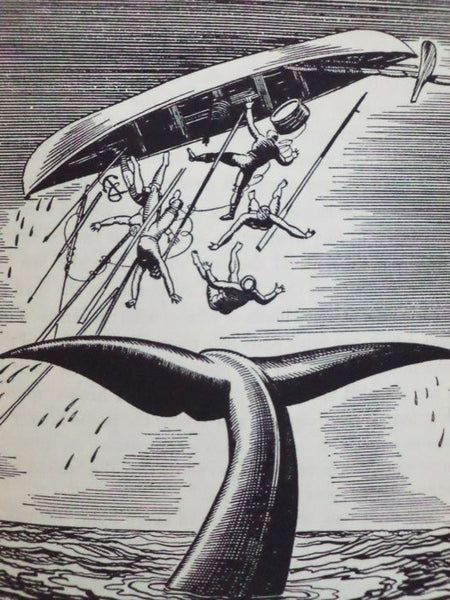 Moby Dick; or, The Whale