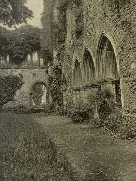 The Ruined Abbeys of Great Britain