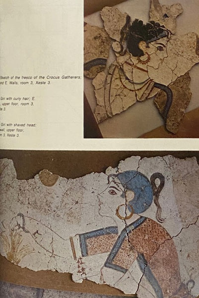 Art and Religion in Thera: Reconstructing a Bronze Age Society