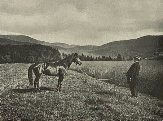 The Morgan Horse and Register, Containing the Names, Morgan Rating, Rule by Which Admitted, and in Case of Stallions the Registration Number of All Horses Registered up to the Time Registrations Were Begun in Volume IV., Vol. III [Volume 3]