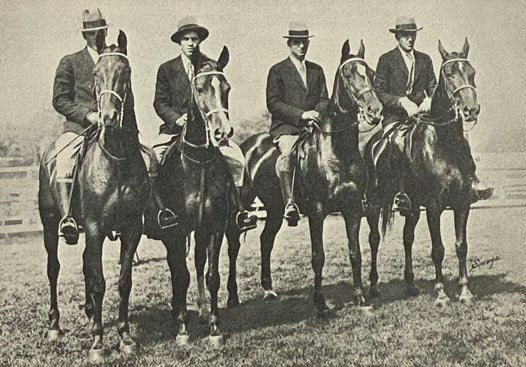 American Morgan Horse Register Volume V [5]: Stallions 7200-8099, Mares and Geldings 04000-05199