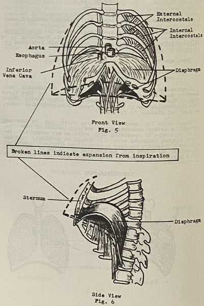 Vocal Development through Organic Imagery