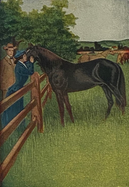 Black Beauty: The. Autobiography of a Horse (Altemus' Young People's Library)