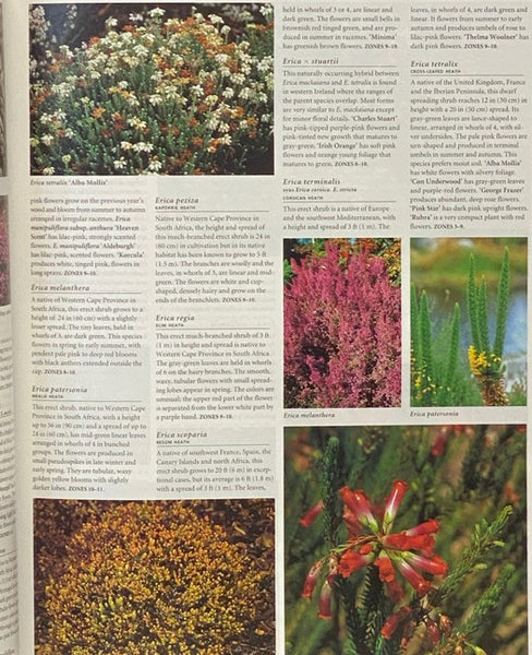 Trees and Shrubs: Illustrated A-Z of Over 8500 Plants