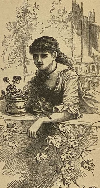 My Wayward Pardner; or, My Trials with Josiah, America, the Widow Bump, and Etcetery. [Partner]