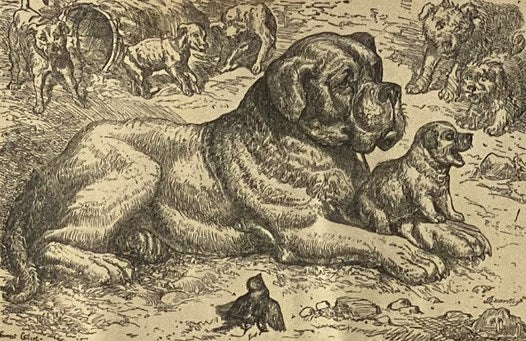 The Book of Fables: Containing Aesop's Fables. Complete, with Text Based upon Croxall, La Fontaine and L'Estrange. with Copious Additions from Other Modern Authors.