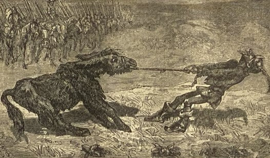 The Book of Fables: Containing Aesop's Fables. Complete, with Text Based upon Croxall, La Fontaine and L'Estrange. with Copious Additions from Other Modern Authors.