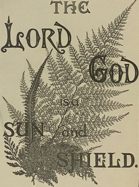 Treasures of the Bible; or, Captivating Stories for Old and Young for the Instruction, Entertainment and Religious Culture of Persons of All Ages, Especially the Young People in Our Homes, Sunday Schools, Societies of Christian Workers, Etc., Including a…