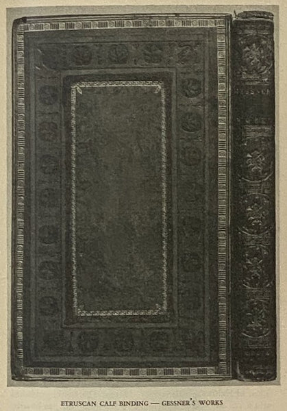 Book Handbook: An Illustrated Guide to Old and Rare Books