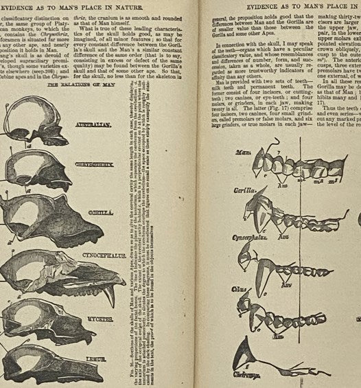 Man's Place in Nature [Evidence of] and The Origin of Species [On the Origin of Species; or, The Causes of the Phenomena of Organic Nature. A Course of Six Lectures.] (The Humboldt Library of Popular Science)