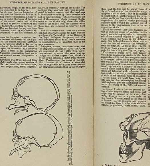 Man's Place in Nature [Evidence of] and The Origin of Species [On the Origin of Species; or, The Causes of the Phenomena of Organic Nature. A Course of Six Lectures.] (The Humboldt Library of Popular Science)