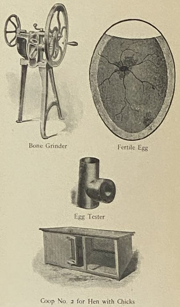 American Poultry Culture: A Complete Hand Book of Practical and Profitable Poultry Keeping for the Great Army of Beginners and Small Breeders [Handbook]