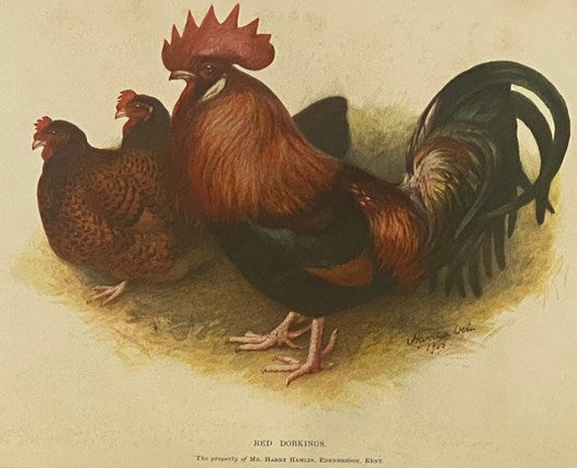 The Poultry Book, in Three Volumes