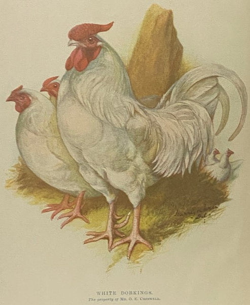 The Poultry Book, in Three Volumes
