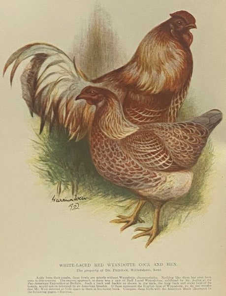 The Poultry Book, in Three Volumes