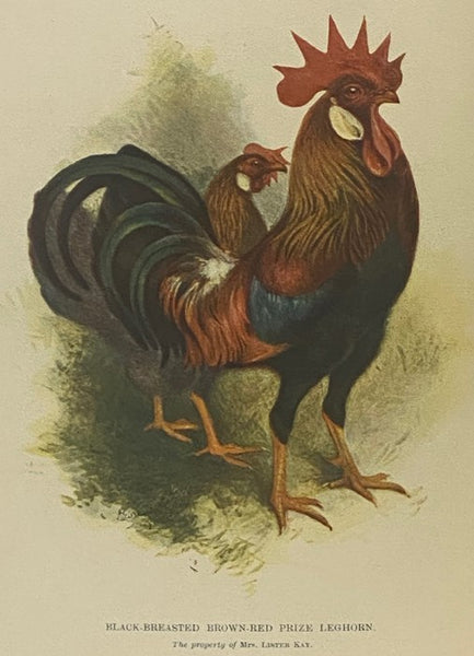 The Poultry Book, in Three Volumes